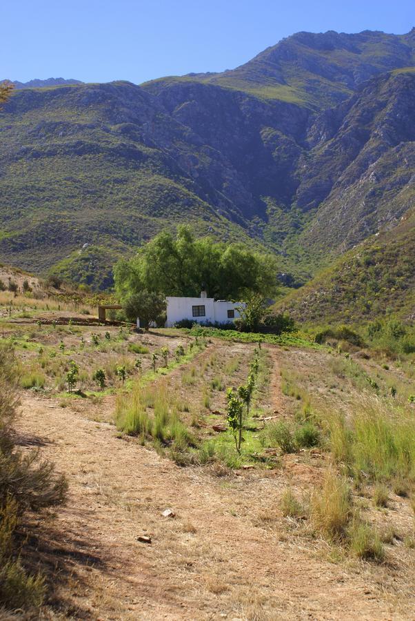 Tierhoek Cottages Robertson Exterior photo